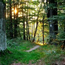 劳沙 4家乡村别墅