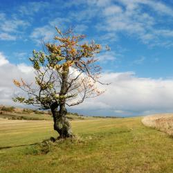 梅尔里希斯塔特 12家住宿