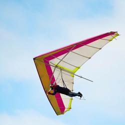 佩德罗－贝尔纳多 8家宠物友好酒店