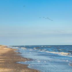 Bolivar Peninsula 5家豪华帐篷营地