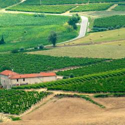戈沃内 7家自助式住宿
