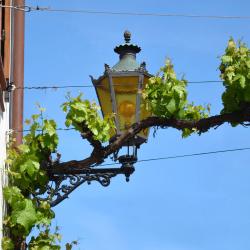 法兰肯塔尔 24家住宿