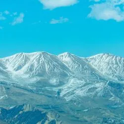 库萨雷 14家公寓