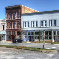 悉尼 10家宠物友好酒店