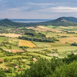Balatonhenye 5家度假短租房