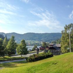 Morgedal 3家带停车场的酒店