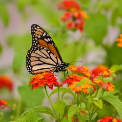 Kerzers 3家低价酒店