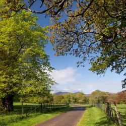 Moutier 3家宠物友好酒店