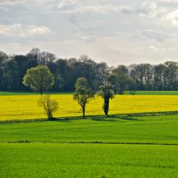 肖蒙昂韦克桑 7家带停车场的酒店