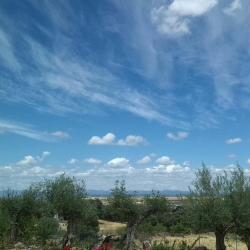 Herrera del Duque 12家住宿