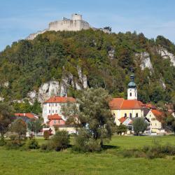 卡尔明茨 3家宠物友好酒店