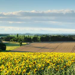 吕萨克莱沙托 9家带停车场的酒店