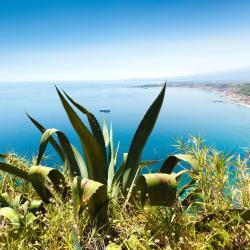 福扎格鲁 14家带停车场的酒店