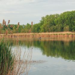 Fadd-Dombori 4家带停车场的酒店