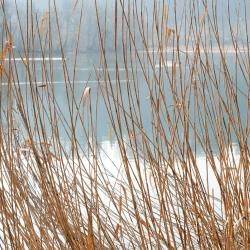 伍恩安德阿尔 3家宠物友好酒店