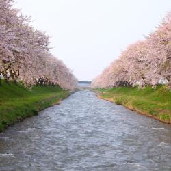 Yamatotakada 3家带停车场的酒店