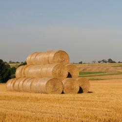 欣费尔德 18家住宿