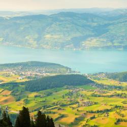 阿施伦 4家宠物友好酒店