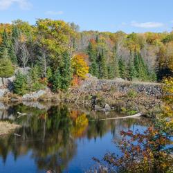 Algonquin Highlands 4家酒店