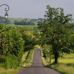 圣佩雷 8家住宿