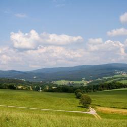 里登 4家豪华酒店