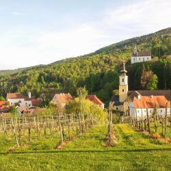 Schwanberg 10家带停车场的酒店