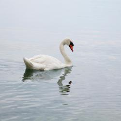 伊沃南 3家带停车场的酒店