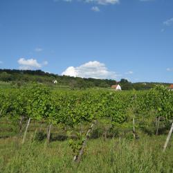 德尔吉切 4家带热水浴缸的酒店