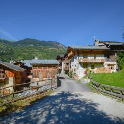 Saint-Bon-Tarentaise 38家酒店