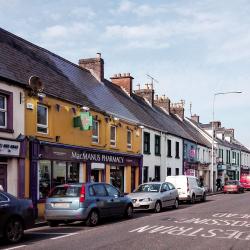 Manorhamilton 8家度假屋