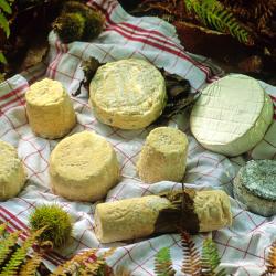 圣迈克桑莱科勒 12家住宿