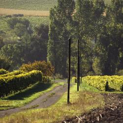 雅尔纳克 18家住宿