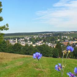Markneukirchen 3家公寓