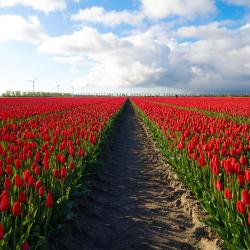 德龙滕 3家带停车场的酒店