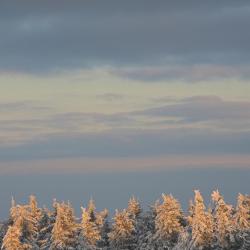 伦山前比绍夫斯海姆 35家住宿