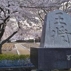 天童市 7家温泉住宿