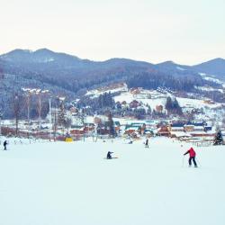 米戈韦 33家滑雪度假村