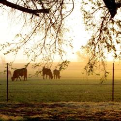 Enid 5家带泳池的酒店