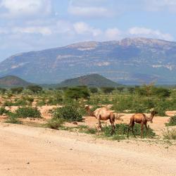 Isiolo 12家酒店