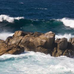 阿尔泰霍 6家自助式住宿