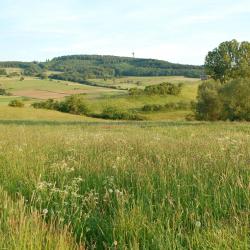 奥伊-米特尔贝格 11家带泳池的酒店