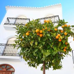 拉卡罗利纳 3家低价酒店