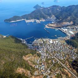 Saiki 11家带停车场的酒店