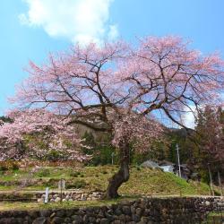 郡上市 4家民宿