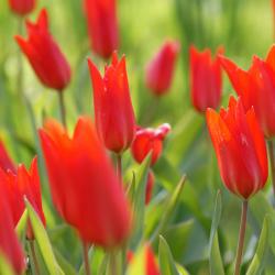 安约马奇 14家住宿