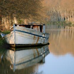 格里希 5家宠物友好酒店