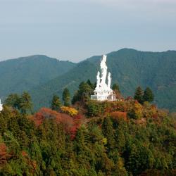 秩父市 4家日式旅馆