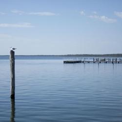 Long Jetty 10家海滩短租房