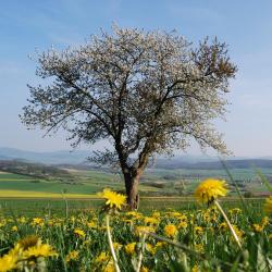米内尔斯塔特 3家自助式住宿