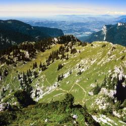 沃雷普 11家住宿